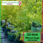 25 litre woven planter bag tree bag at Nursery and Garden Supplies NZ - for more info go to nurseryandgardensupplies.co.nz