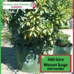 300 litre woven planter bag tree bag at Nursery and Garden Supplies NZ - for more info go to nurseryandgardensupplies.co.nz