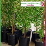 10 litre Standard Poly Planter Bags PB18 at Nursery and Garden Supplies NZ - for more info go to nurseryandgardensupplies.co.nz