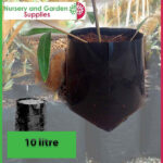 10 litre Standard Poly Planter Bags PB18 at Nursery and Garden Supplies NZ - for more info go to nurseryandgardensupplies.co.nz