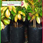 15 litre Poly Planter Bags PB28 at Nursery and Garden Supplies NZ - for more info go to nurseryandgardensupplies.co.nz