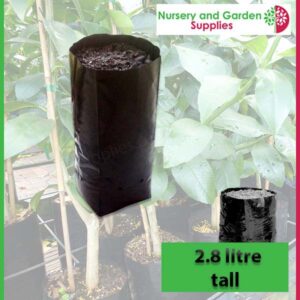 2.8 litre Tall Poly Planter Bags at Nursery and Garden Supplies NZ - for more info go to nurseryandgardensupplies.co.nz