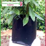 5 litre Squat Poly Planter Bags PB6.5 at Nursery and Garden Supplies NZ - for more info go to nurseryandgardensupplies.co.nz