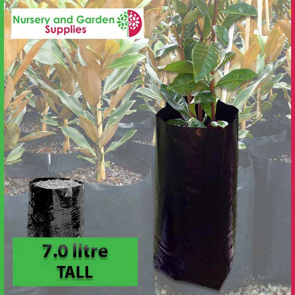 7 litre Tall Poly Planter Bags at Nursery and Garden Supplies NZ - for more info go to nurseryandgardensupplies.co.nz