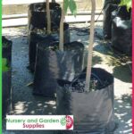 35 litre Poly Planter Bags PB60 at Nursery and Garden Supplies NZ - for more info go to nurseryandgardensupplies.co.nz