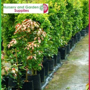 45 litre Poly Planter Bags PB95 at Nursery and Garden Supplies NZ - for more info go to nurseryandgardensupplies.co.nz