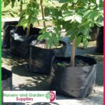 60 litre Squat Poly Planter Bags at Nursery and Garden Supplies NZ - for more info go to nurseryandgardensupplies.co.nz