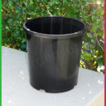 165mm Black Pot with Saucer – Nursery Combo Pack - Image 3