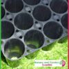 40 cell Hard Plastic Seedling Tray - for more info go to nurseryandgardensupplies.co.nz