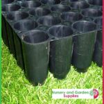 40 cell Hard Plastic Seedling Tray - for more info go to nurseryandgardensupplies.co.nz