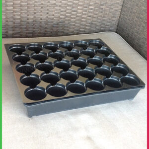 30 Cell Round Tray - for more info go to nurseryandgardensupplies.co.nz