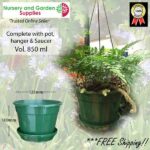 140mm Hanging Basket Pot Hanger Saucer Green at Nursery and Garden Supplies NZ - for more info go to nurseryandgardensupplies.co.nz