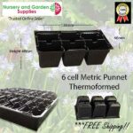 6 cell Thermoformed Seedling Punnet Metric at Nursery and Garden Supplies NZ - for more info go to nurseryandgardensupplies.co.nz