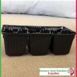 6 cell Thermoformed Seedling Punnet Metric at Nursery and Garden Supplies NZ - for more info go to nurseryandgardensupplies.co.nz