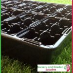 6 cell Thermoformed Seedling Punnet Metric at Nursery and Garden Supplies NZ - for more info go to nurseryandgardensupplies.co.nz