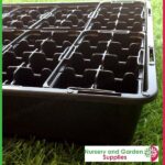 8 cell Thermoformed Seedling Punnet Metric at Nursery and Garden Supplies NZ - for more info go to nurseryandgardensupplies.co.nz