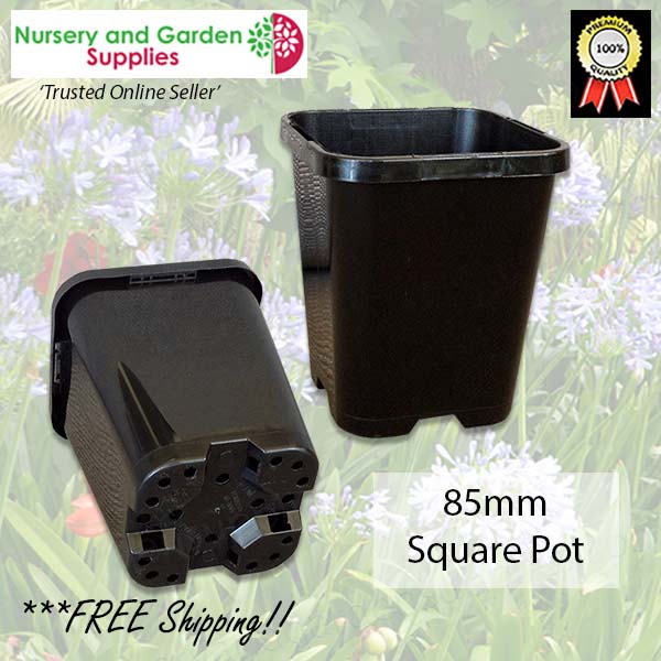 85mm Square plant pot black - for more info go to nurseryandgardensupplies.co.nz