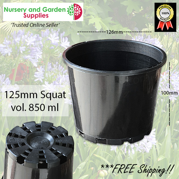 125mm Squat Plant Pot