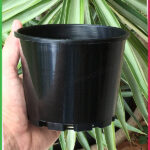 125mm Squat Plant Pot