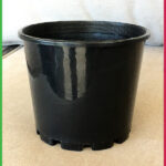 140mm Squat Plant Pot