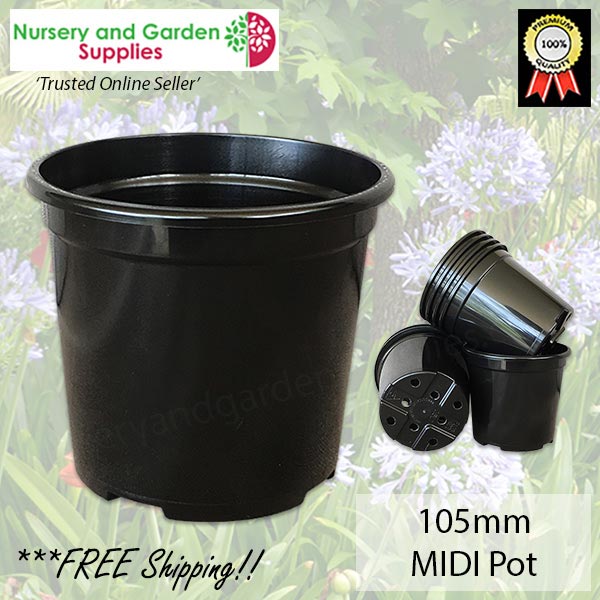 105mm Midi pot black - for more info go to nurseryandgardensupplies.co.nz