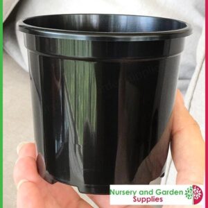 105mm Midi pot black - for more info go to nurseryandgardensupplies.co.nz