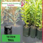 10 litre Tall Poly Planter Bags at Nursery and Garden Supplies NZ - for more info go to nurseryandgardensupplies.co.nz