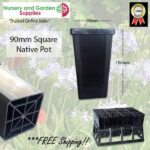 90mm Square Native Pot