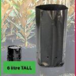 6 litre Tall Poly Planter Bags at Nursery and Garden Supplies NZ - for more info go to nurseryandgardensupplies.co.nz