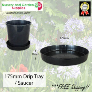 Saucer to suit 175mm - for more info go to nurseryandgardensupplies.co.nz