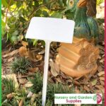 250mm White Display Plant Label - for more go to nurseryandgardensupplies.co.nz