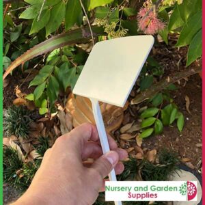 250mm White Display Plant Label - for more go to nurseryandgardensupplies.co.nz