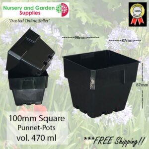 100mm Square Squat Punnet-Pot Black - for more info go to nurseryandgardensupplies.com.au