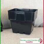 100mm Square Squat Punnet-Pot Black - for more info go to nurseryandgardensupplies.com.au