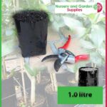 1 litre Poly Planter Bags at Nursery and Garden Supplies NZ - for more info go to nurseryandgardensupplies.co.nz