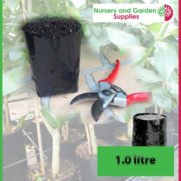 1 litre Poly Planter Bags at Nursery and Garden Supplies NZ - for more info go to nurseryandgardensupplies.co.nz