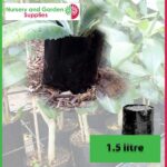 1.5 litre Poly Planter Bags PB2 at Nursery and Garden Supplies NZ - for more info go to nurseryandgardensupplies.co.nz