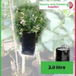 2 litre Poly Planter Bags PB3 at Nursery and Garden Supplies NZ - for more info go to nurseryandgardensupplies.co.nz