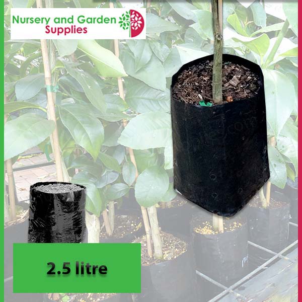 2.5 litre Poly Planter Bags at Nursery and Garden Supplies NZ - for more info go to nurseryandgardensupplies.co.nz