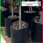 2.5 litre Poly Planter Bags at Nursery and Garden Supplies NZ - for more info go to nurseryandgardensupplies.co.nz