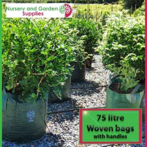 75 litre woven planter bag tree bag at Nursery and Garden Supplies NZ - for more info go to nurseryandgardensupplies.co.nz