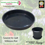 Saucer to suit 300mm - for more info go to nurseryandgardensupplies.co.nz