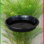 Saucer to suit 200mm Pot