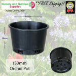 150mm ORCHID Squat Pot Heavy Duty