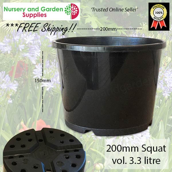 200mm Squat Plant Pot