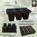 6 Cell Moulded Punnet Standard