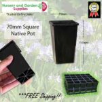 70mm Square Native Pot