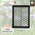 Large Nursery Tray