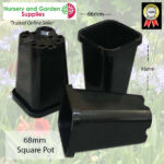 68mm Square Pot