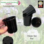 70mm Standard Pot Black